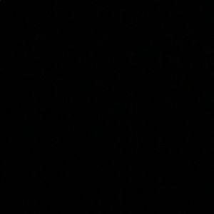 Meet your Posher, Jayden